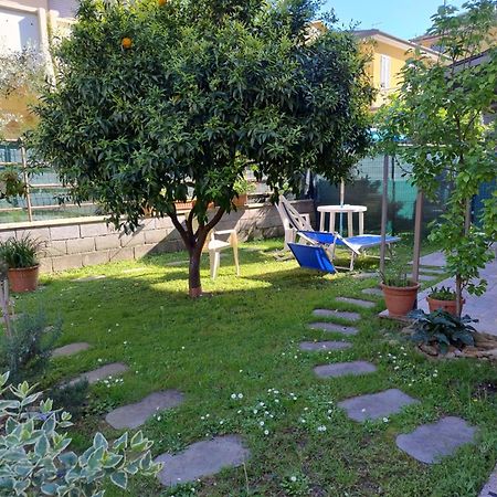 Bilocale Climatizzato A 850M Dalla Spiaggia Casa Katia Марина-ді-Масса Екстер'єр фото