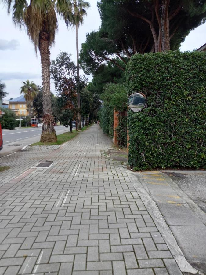 Bilocale Climatizzato A 850M Dalla Spiaggia Casa Katia Марина-ді-Масса Екстер'єр фото