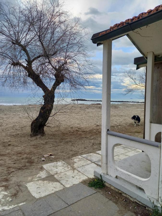 Bilocale Climatizzato A 850M Dalla Spiaggia Casa Katia Марина-ді-Масса Екстер'єр фото
