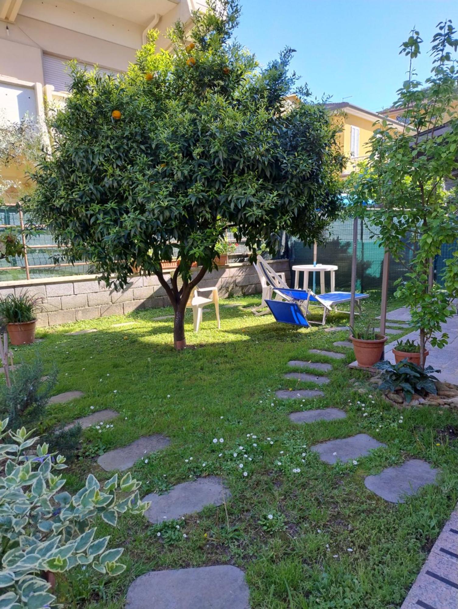 Bilocale Climatizzato A 850M Dalla Spiaggia Casa Katia Марина-ді-Масса Екстер'єр фото